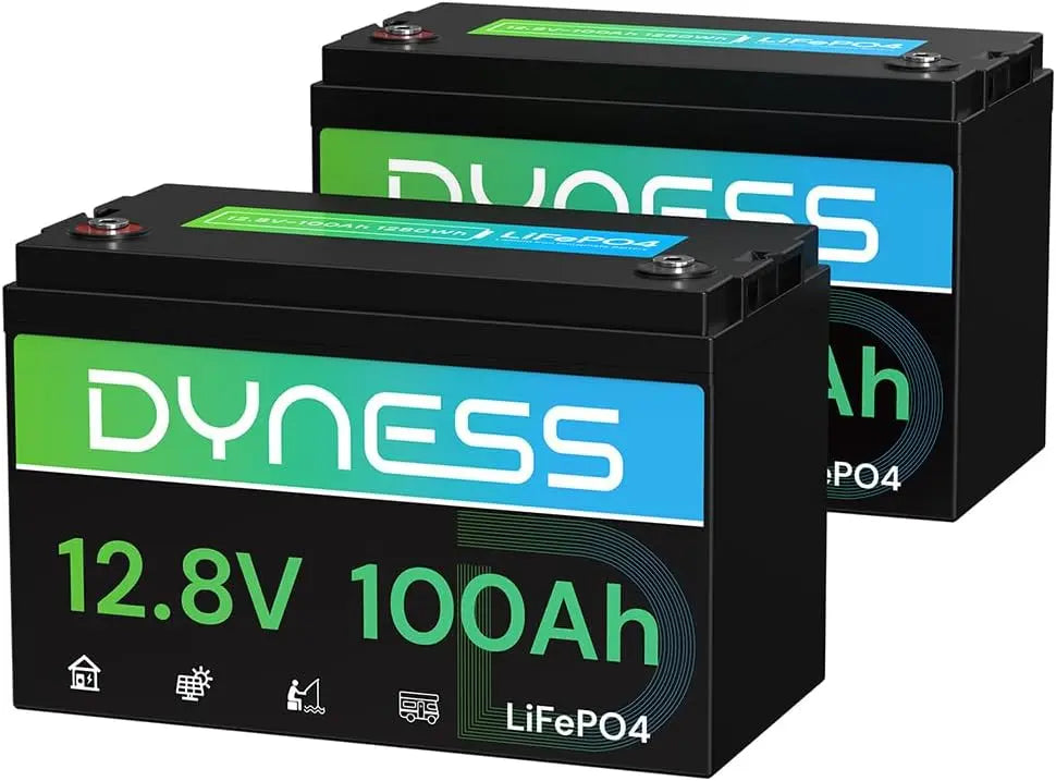 Dyness 12V 100Ah LiFePO4 Lithium Battery - 2 Pack, BCI Group 31 with Low-Temp Protection, A+ Grade Cell Built-in 100A BMS, Solar System, Off-Grid