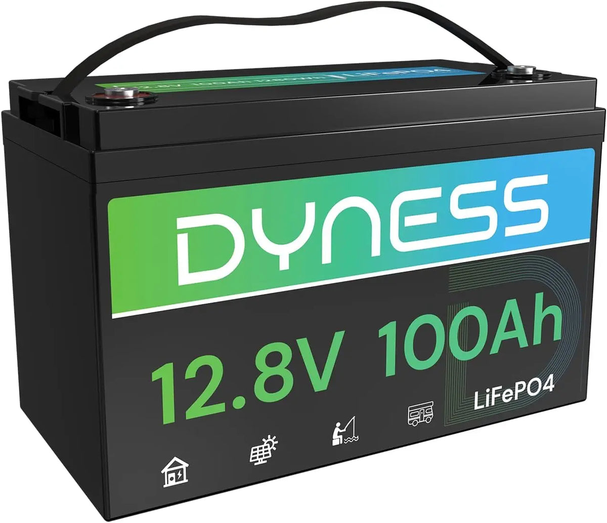 Dyness 12V 100Ah LiFePO4 Lithium Battery for RV - Solar System and Off-Grid