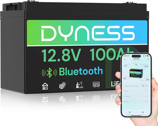 Dyness 12V 100Ah Bluetooth LiFePO4 Lithium Battery for RV - Solar, Off-Grid