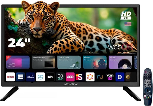 Audiobox Smart LED HDTV with webOS Hub - 24-Inch