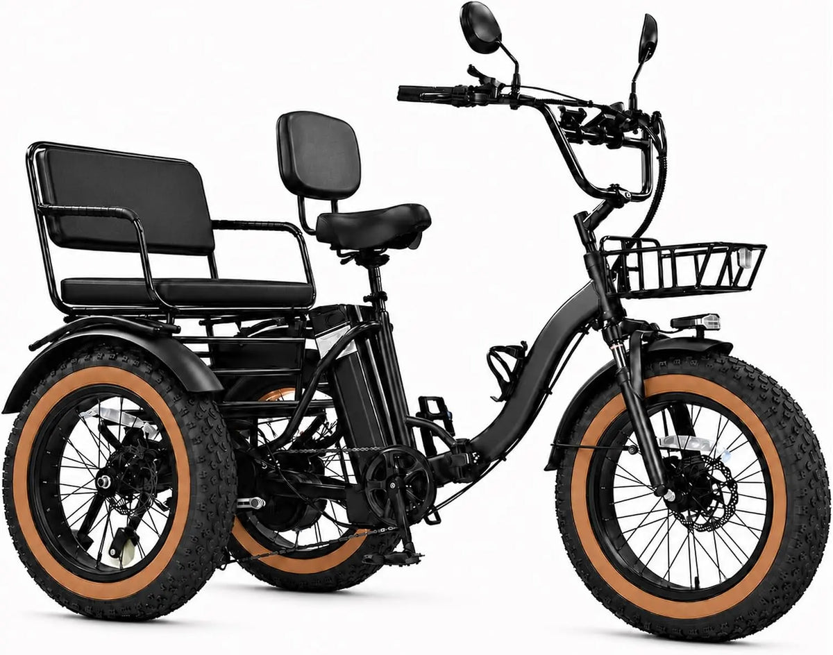 Two Seater Electric Tricycle for Adults 2 Seater Trike