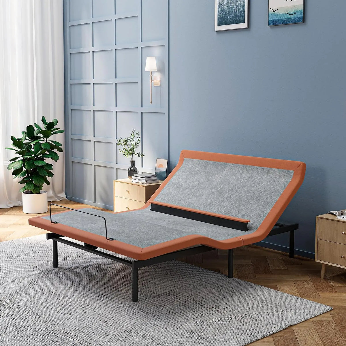ESHINE Queen Adjustable Bed Frame - With Lumbar Support Smart App